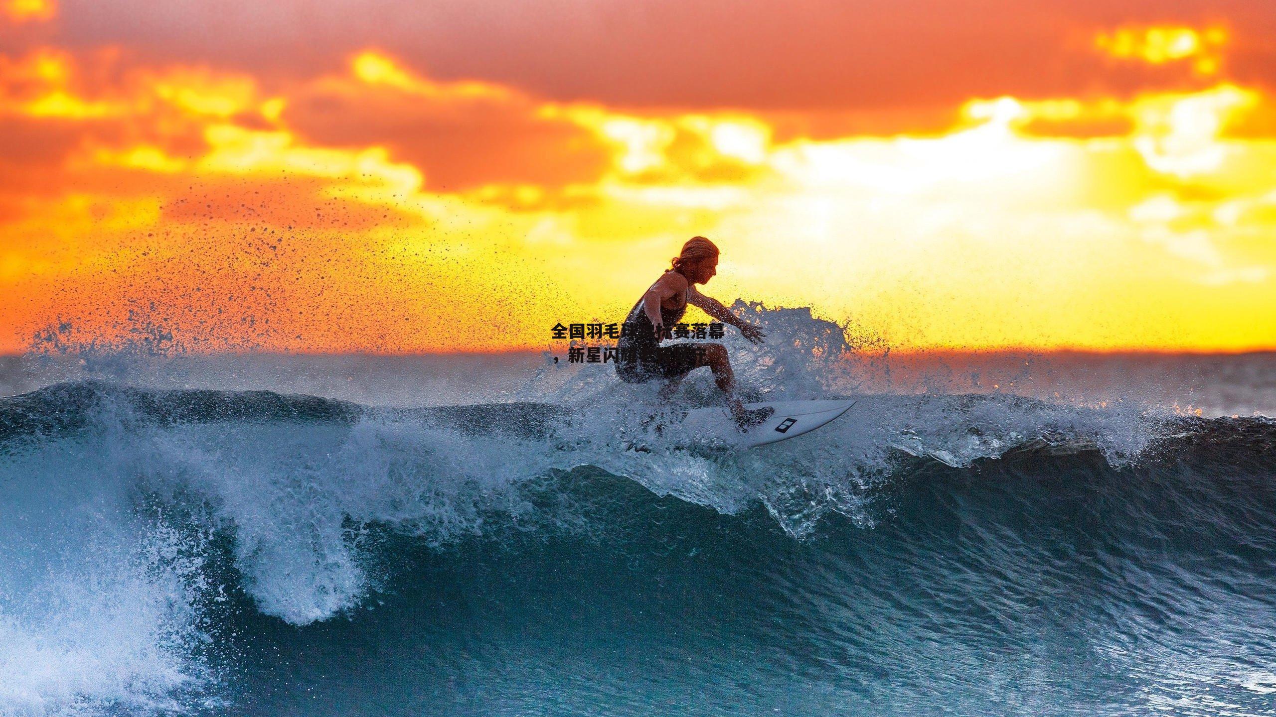 全国羽毛球锦标赛落幕,新星闪耀老将坚守