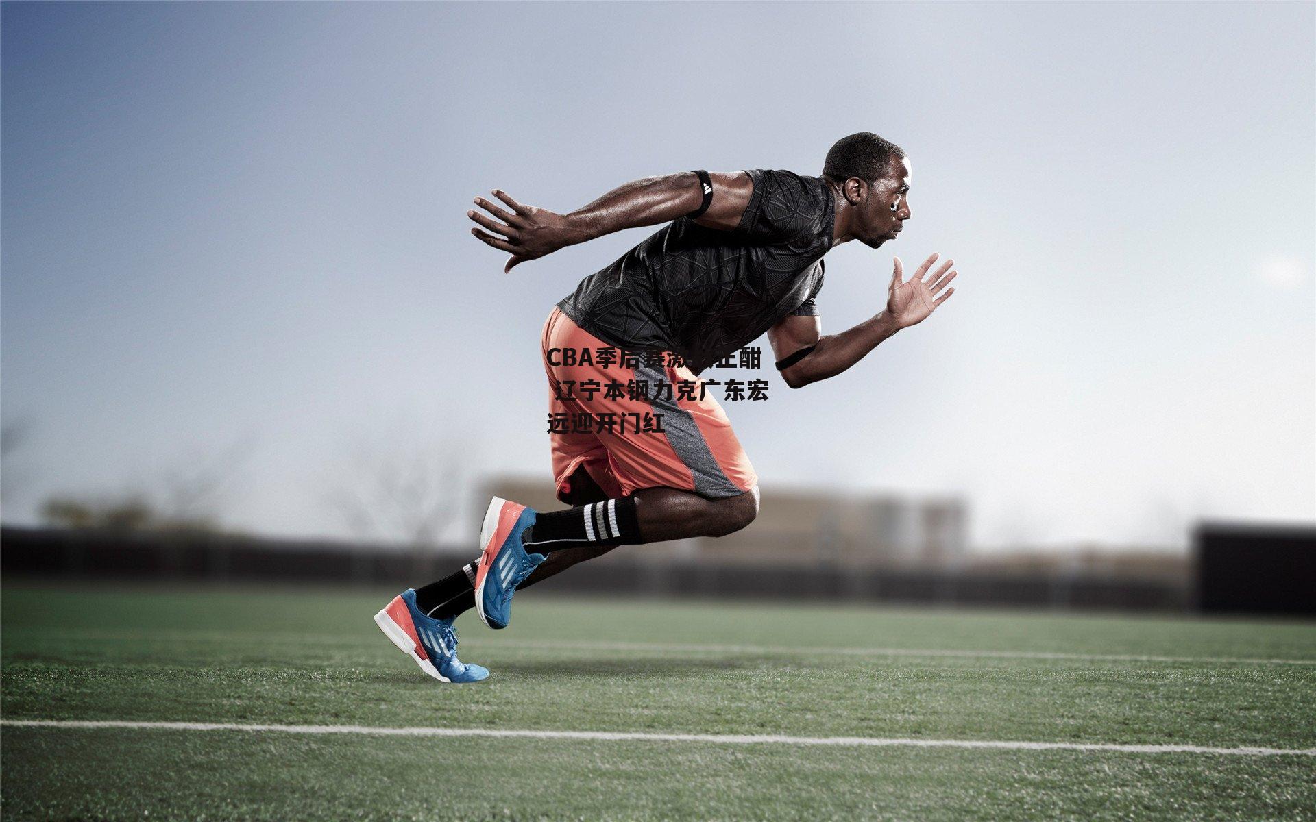 b体育下载-CBA季后赛激战正酣 辽宁本钢力克广东宏远迎开门红